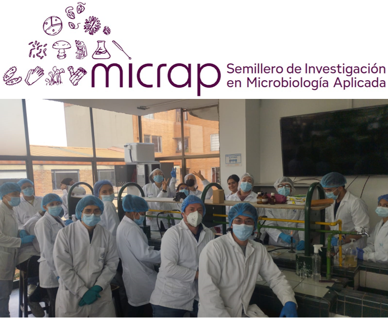 Imagen decorativa : MICRAP