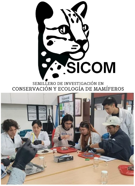 Imagen decorativa : SICOM