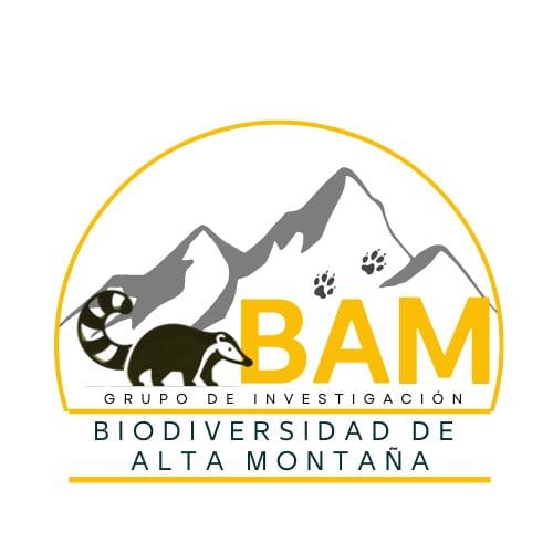 Imagen decorativa : Grupo de investigación-creación e innovación en Biodiversidad de Alta Montaña (BAM)