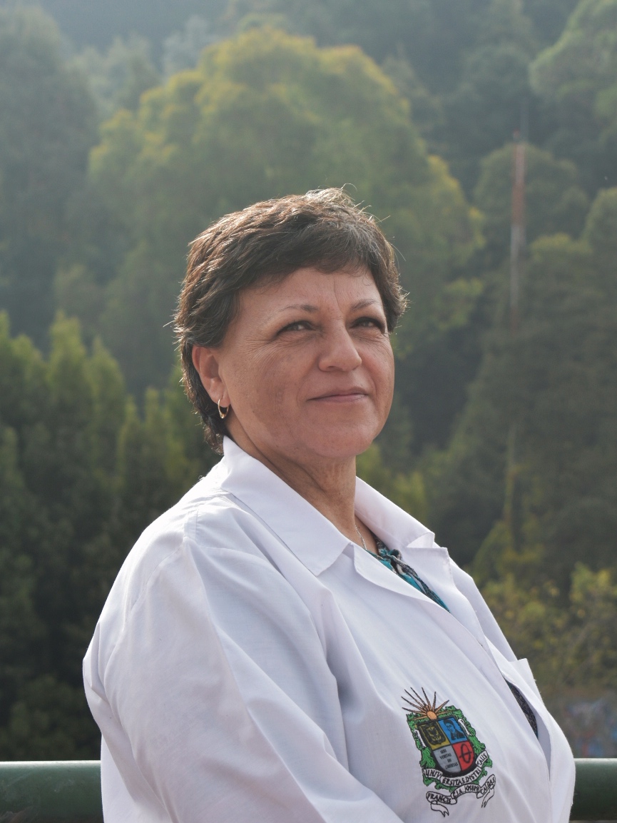 MARISOL OCAMPO CIFUENTES
