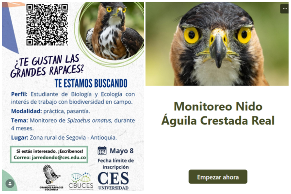 Imagen decorativa 