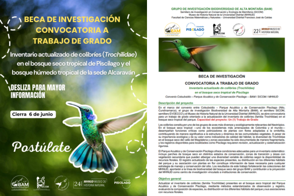 Imagen decorativa 