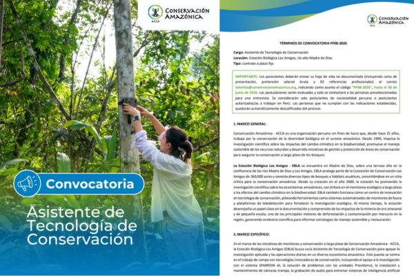 Imagen decorativa