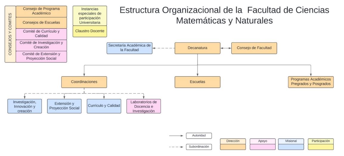 Estructura organizacional 